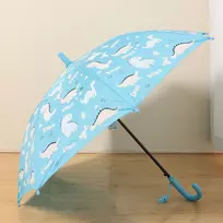 Skėtis DINOSAUR