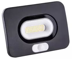 LED prožektorius 10W 4000K 1000Lm su PIR jutikliu IP64 RAL9005