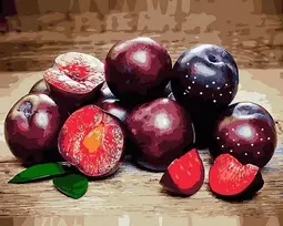 SuperColor Tapyba Pagal Skaičius: „Slyvų natiurmortas“ 40x50 cm