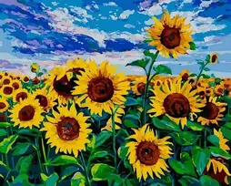 SuperColor Tapyba Pagal Skaičius: „Auksinis saulėgrąžų laukas“ 40x50 cm