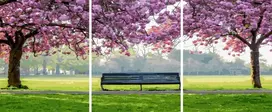 SuperColor Tapyba Pagal Skaičius: „Pavasaris parke – suoliukas po žydinčiomis sakuromis“ (trijų dalių) 40x50 cm