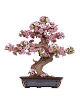 Robotime Rolife 3D Wooden Sakura Bonsai Puzzle Easy Assembly Evergreen Pine Bonsai Kit Christmas Gift For Family Home Decoration brown
