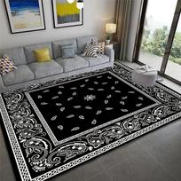 Paisley Bandana Print Area Rug Anti Slip Ethnic Carpet Washable Flannel Rugs for Kitchen Living Room Bedroom 40X60cm-16x24in gray