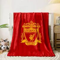 Yellow crest with a liver bird, flames, and text on a red striped background. for all seasons blanket lunch break throw gift 80cm x 120cm red