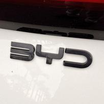 For BYD Dolphin Surf Atto1 Dolphin Mini 2023 2025 Car  Black Emblem Badge Rear Letter Decorative Sticker Modified Exterior pwaxk99 black