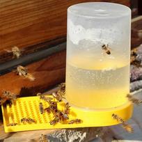 European Style Plastic Entrance Feeder Cup for Beekeeping Hives Grade B Spot Water Feeder black