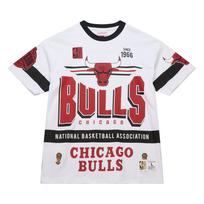 Mitchell & Ness NBA Origins Premium Vintage T-Shirt 'Chicago Bulls Team' Men's FC9265-CBUWHIT L white