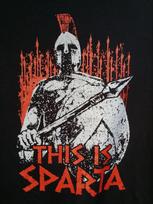 This Is Sparta 300 Leonidas Spartan Warrior TShirt New 100 Cotton Short Sleeve ONeck Harajuku Casual Unisexs Tshirt Streetwear S white
