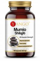 Mumio maisto papildas, 40% fulvorūgšties, 90 kapsulių