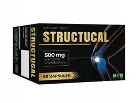Chondroitino sulfatas 500 mg 60 kapsulių MBM