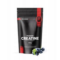 Kreatinas ECCONO POWER 300 g, monohidratas, mikro 200 mesh, sujuogėlių skonio