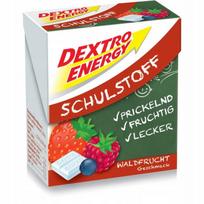 Gliukozės tabletės Dextro Energy Minis Forest Fruit 50 g