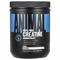 Kreatino monohidratas Animal, 300 g, beskonis