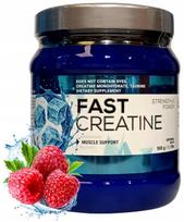 Kreatino monohidratas Labocore Nutrition FAST CREATINE 500g aviečių skonio