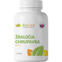 Ryklio kremzlė 500 mg 110 tablečių