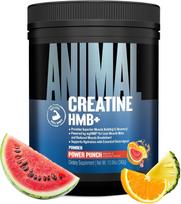 Kreatino monohidratas Universal Animal Stak HMB+ 327g