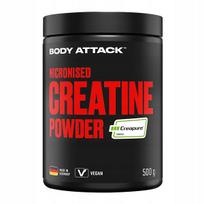 Kreatino monohidratas 500g CREAPURE
