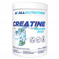 Kreatinas ALLNUTRITION 500 g monohidratas