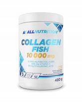 Kollagenas Allnutrition Fish 10000 mg, apelsinų, 480 g