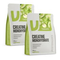 Kreatinas OstroVit Creatine Monohydrate 2x500g