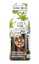 Kanapių sativa Chillout gėrimas 120 ml su melisa