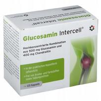 Maisto papildas INTERCELL PHARMA Glucosamine Intercell, 120 kapsulių