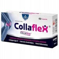 Kollagenas su chondroitinu COLLAFLEX Strong Joints