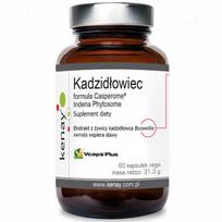 Maisto papildas Kenay Boswellia Casperome Phytosome 60 kapsulių