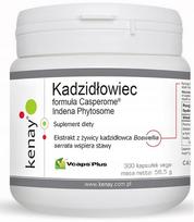 Maisto papildas Boswellia Casperome Indena Phytosome, 300 kapsulių