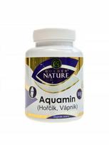 Maisto papildas Golden nature Aquamin kalcis ir magnis, 100 kapsulių