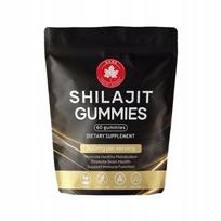 Maisto papildas Shilajit guminukai