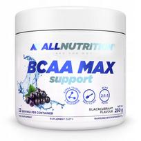 Amino rūgštys ALLNUTRITION BCAA MAX SUPPORT 250 g