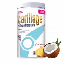 Maisto papildas Noble Pharma Cartilage Plus 500g sąnariams, plaukams, odai, nagams