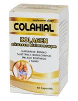 Maisto papildas GORVITA Colahial su kolagenu, hialurono rūgštimi ir chondroitinu, 60 kaps.