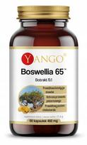 Maisto papildas Boswellia 65, 60 kapsulių