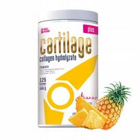 Maisto papildas Noble Pharma Cartilage Plus 500g sąnariams ir kremzlėms