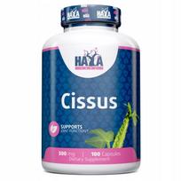 Maisto papildas HAYA LABS Cissus 500 mg, 100 kapsulių