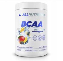 Aminorūgščių milteliai ALLNUTRITION BCAA MAX SUPPORT 500g mango ir gervuogių skonio