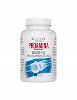 Maisto papildas Colyfine Proamine Collagen Plus sąnariams ir odai, 100 kapsulių