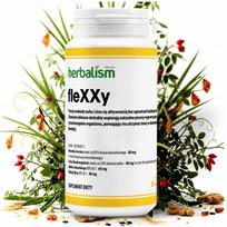 fleXXy sąnarių papildas