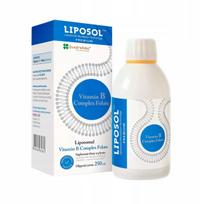 Liposominis B grupės vitaminų kompleksas Aliness Liposol MEMORY METABOLISM 250 ml