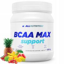 Amino rūgštys ALLNUTRITION BCAA SUPPORT 500g