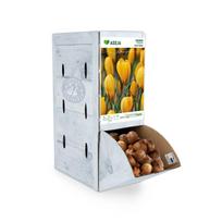 Didžiažiedžio kroko Grand Yellow svogūnėlis ASEJA, 1 vnt., 7/8, Rackbox, 64042107, (R)