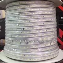 Commercial 36V LED Light Strip