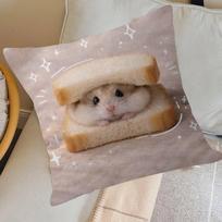 Funny Sad Hamster Emoticon   Pillow Cover for Bedroom Room and Living Room Sofa Decorative Cushion Cover 30x30cm brown