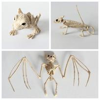 Driežas Varlė Šikšnosparnis Skeletas Modelis Helovinas Teroristinis Gyvūnas Dekoracija Vaiduoklių Namų Projektai Dekoravimas Bat white