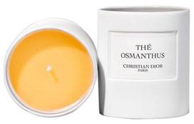 DIOR Aromaterapinės žvakės Guilu Subtle Tea|250g