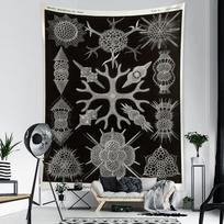 Marine Life Example Picture Tapestry Wall Hanging Tarot Card Hippie Bohemian Style Psychedelic Art Home Decor 95x70cm gray