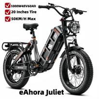 ES Juliet Elektrinis Dviratis, 1000W 48V 60Ah Baterija, 20*4.0 Colių Stori Padangos, Hidraulinis Stabdys Elektrinis Kalnų E‑Dviratis Juliet-1000W48V60Ah-BK-YY