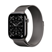 Apple Watch Series 11 46mm 5G Slate Titanium (Grey Milanese Strap M/L)